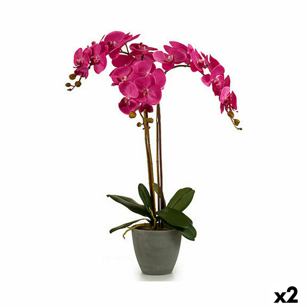 Koristekasvi Orkidea Muovinen 60 x 78 x 44 cm (2 osaa)