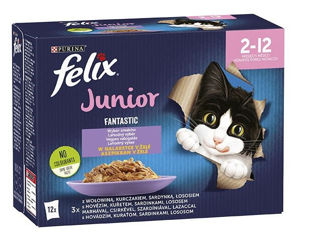 Felix Fantastic hyytelöruoka kissanpennuille hyytelössä naudanliha kana lohi sardiini - 12x 85 g