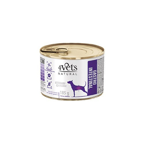 4VETS Natural Gastro Intestinal Dog - koiran märkäruoka - 185 g