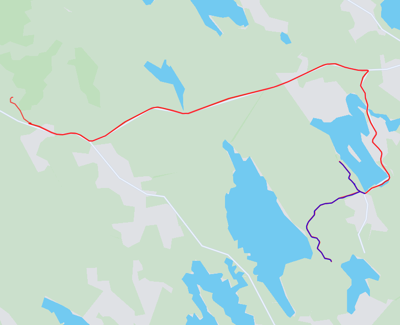 Iltalenkki 2.9.2025 - Ruudun haku Salmenkylältä