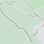 Pikkuruutujen metsästystä